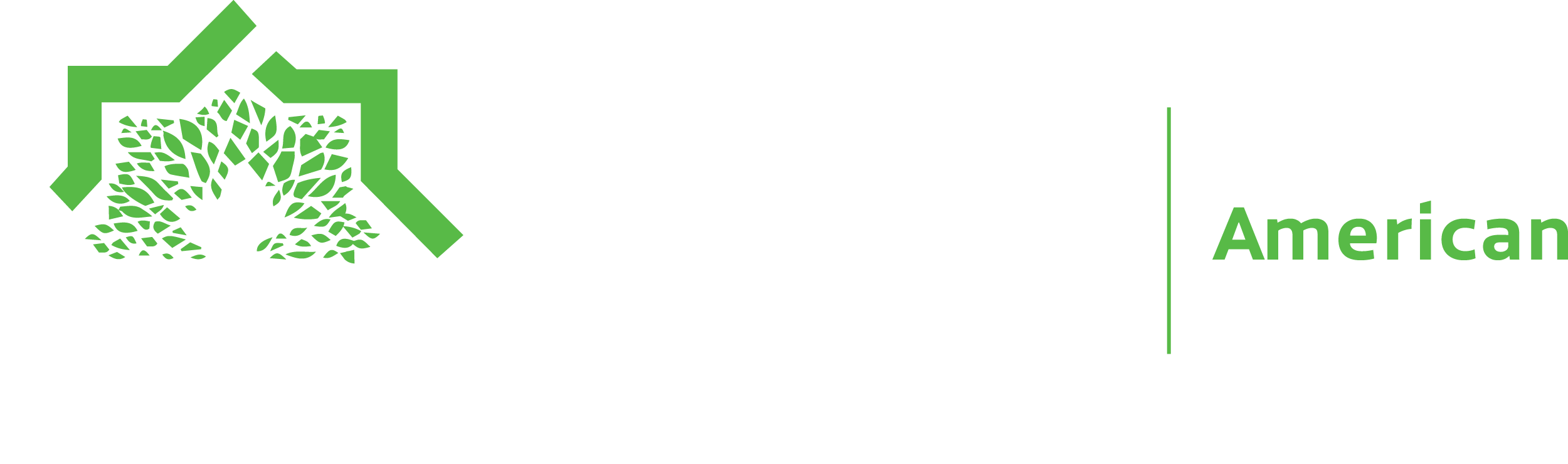 MAS logo